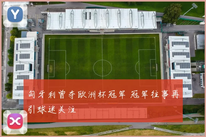 匈牙利曾夺欧洲杯冠军 冠军往事再引球迷关注